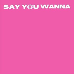 Обложка для FIILTH - Say You Wanna