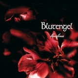Обложка для Blutengel - Angels of the Dark