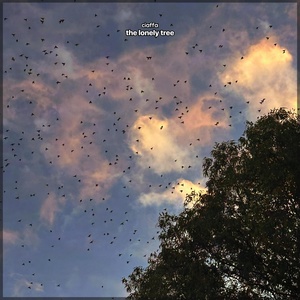 Обложка для ciaffa - the lonely tree (birdies)
