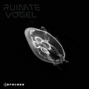 Обложка для Ruimte Vogel - Chaoks