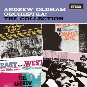 Обложка для Andrew Oldham Orchestra - House Of the Rising Sun