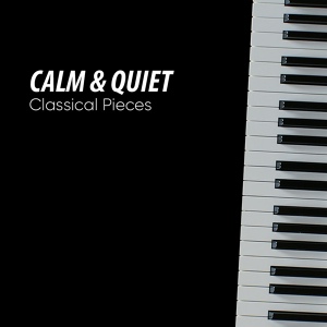 Обложка для Relaxing Piano Music Masters - Beethoven's Sonata No 11 in B Flat Major Op 22 II Adagio