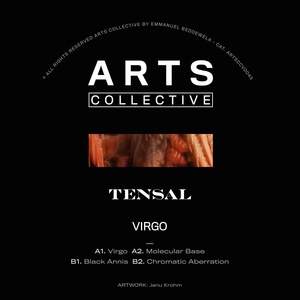 Обложка для Tensal - Virgo
