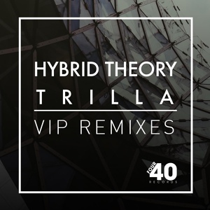 Обложка для Hybrid Theory ft Trilla - VIP (B Squared Remix)