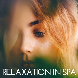 Обложка для Area Zen - Relax New Age