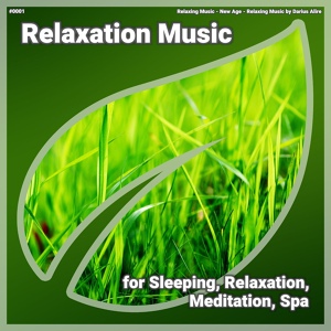 Обложка для Relaxing Music, New Age, Relaxing Music by Darius Alire - Relaxation Music, Pt. 10