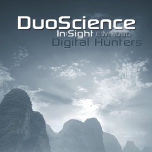 Обложка для In:Sight & Duoscience - The Decade