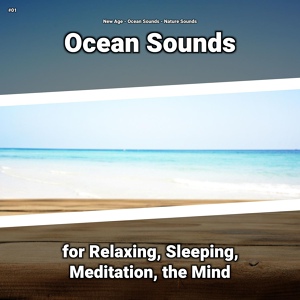 Обложка для New Age, Ocean Sounds, Nature Sounds - Sea Noises for Insomnia
