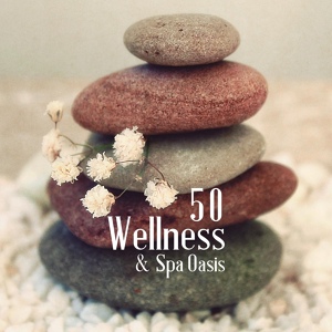 Обложка для Wellness Spa Music Oasis - Mindful Acceptance