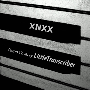 Обложка для LittleTranscriber - XNXX