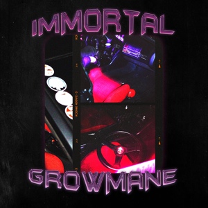 Обложка для GROWMANE - IMMORTAL