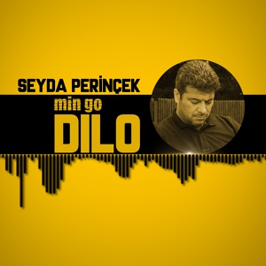 Обложка для Seyda Perinçek - Min Go Dilo