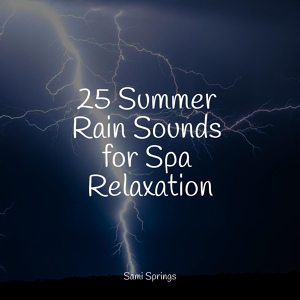 Обложка для Chakra Balancing Sound Therapy, Deep Relaxation Meditation Academy, Rain Sound Studio - Wet Glass Rains