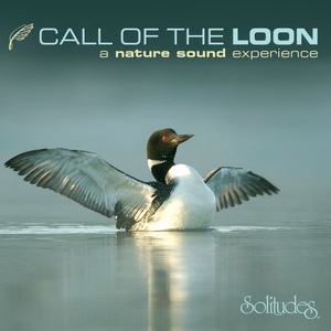 Обложка для Dan Gibson's Solitudes - Down the River - Common Loon, Common Yellowthroat, Song Sparrow, Blue Jay