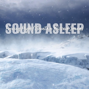 Обложка для Elijah Wagner - Evening High Mountain Blizzard Sounds, Pt. 4