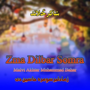 Обложка для Malvi Akhtar Muhammad Bahar - Zma Dilbar Somra