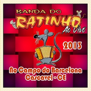 Обложка для BANDA DO RATINHO - Bebendo pinga , bebendo cerveja - BANDA DO RATINHO