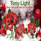 Обложка для Tony Light - When the Snow Falls on the Roses