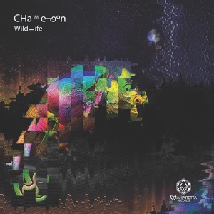 Обложка для Chameleon, Viking Trance - Warp Bubble (Original Mix)