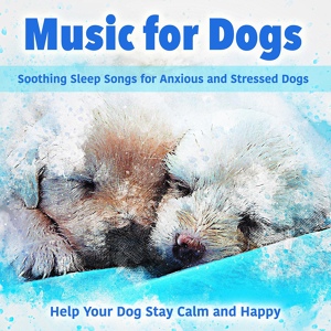 Обложка для Dog Music Dreams - Healthy Dog