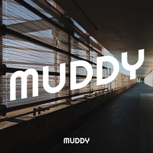 Обложка для Muddy - Moonlit