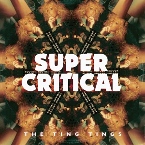 Обложка для The Ting Tings - Wrong Club