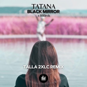 Обложка для Tatana feat. 88Birds - Black Mirror