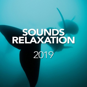 Обложка для Whale Sounds For Relaxation - Wavy White Noise