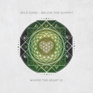 Обложка для Wild Dark - Below The Summit
