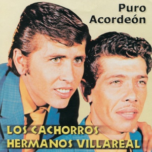 Обложка для Los Cachorros Hermanos Villareal - Tus Coqueteos