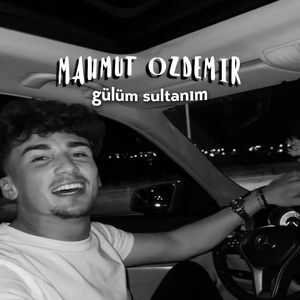 Обложка для Mahmut Özdemir feat. Süleyman Kotan - Gülüm Sultanım