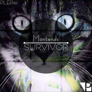 Обложка для Montends - Survivor (Original Mix)