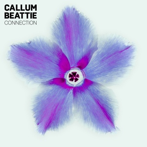 Обложка для Callum Beattie - Connection