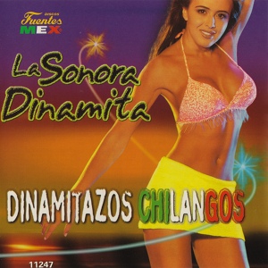 Обложка для La Sonora Dinamita feat. Gaby Sanchez, Ernesto Elizondo - Noches de Cumbia