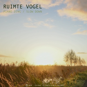 Обложка для Ruimte Vogel - Slow Down