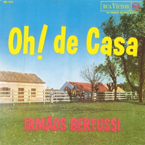 Обложка для Irmãos Bertussi - Gaúcho de Verdade