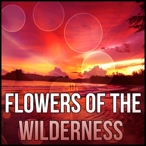 Обложка для Lotus Flower Music Masters - Flowers of the Wilderness