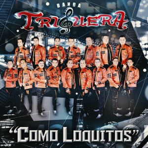 Обложка для Banda Triguera - Los Relatos de Un Guacho