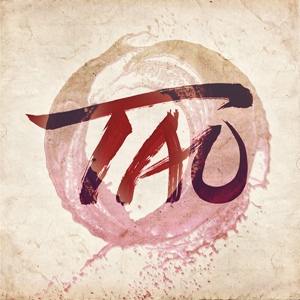 Обложка для TAO - Akasha