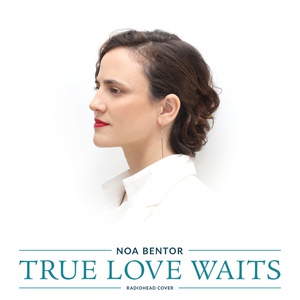 Обложка для Noa Bentor - True Love Waits