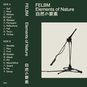 Обложка для Felbm - Fall