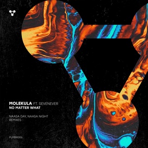 Обложка для Molekula, feat. SevenEver - NAASA Day Remix
