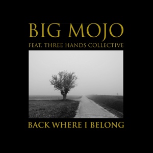 Обложка для Big Mojo - Back Where I Belong feat. THC (Original Mix)