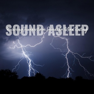 Обложка для Elijah Wagner - Recurring Thunderstorm Sounds for Mind Resting, Pt. 10