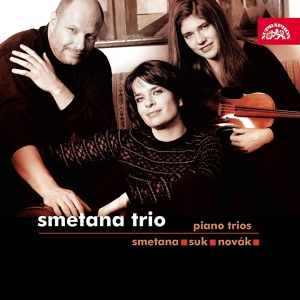 Обложка для Smetana Trio - Piano Trio in G Minor, Op. 15, JB 1:64: I. Moderato assai