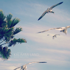 Обложка для Audio Industrie - Kalimba Land