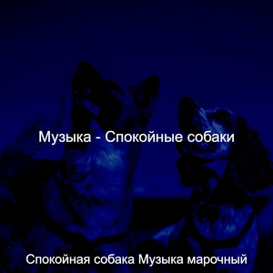 Обложка для Спокойная собака Музыка марочный - Чувство (Собаки)