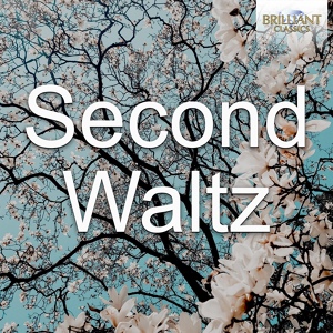 Обложка для Fendi Fall/Winter 2014-2015 - Шостакович Дмитрий- Jazz Suite N°1 - Waltz