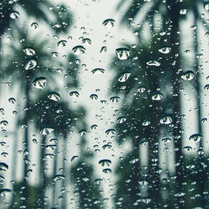 Обложка для Rain Man Sounds, Spa Zen, calming rainforest sounds - Rainy Meanderings