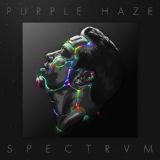 Обложка для Purple Haze - Light Me Up (feat. Aaron Bonus & Justin Gamella)